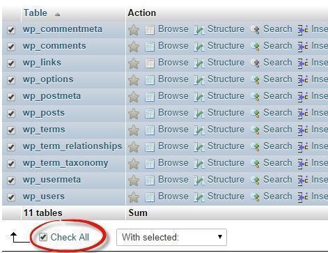 Chọn “Check All” các bảng dữ liệu wordpress