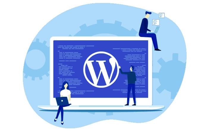 Dịch vụ tối ưu Wordpress tại WSU có gì? Dịch vụ tối ưu WordPress tại WSU nhanh chóng, tin cậy