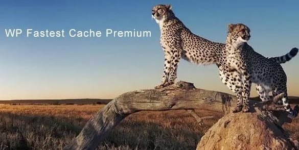 5 plugin tạo cache dành cho wordpress tốt nhất WP Fastest Cache