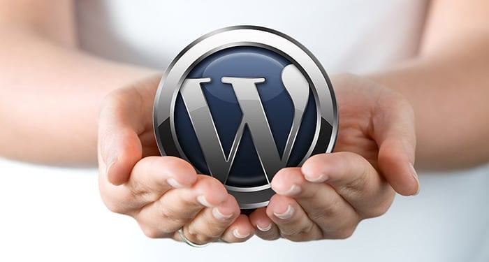 Dịch vụ tối ưu Wordpress tại WSU có gì? Wordpress tối ưu sẽ giúp website của bạn tăng tốc độ tải